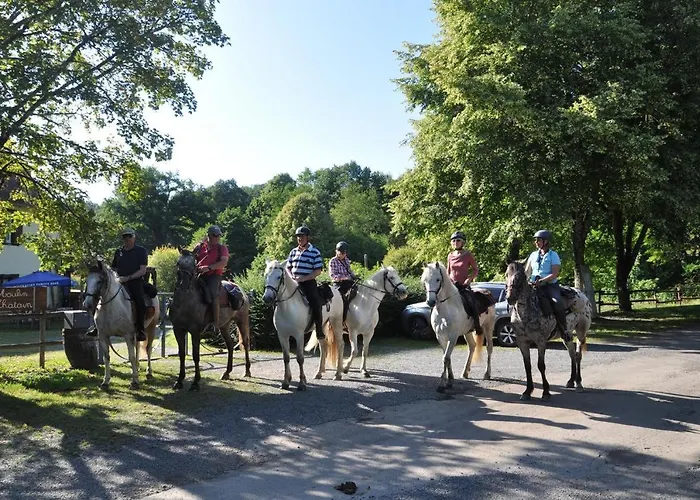 Les Du Moulin Du Chatain 4 * Payzac (Dordogne)