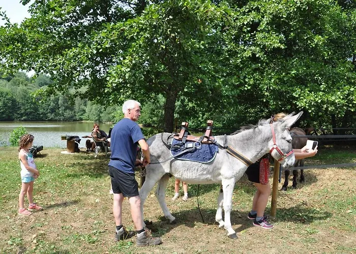 Les Du Moulin Du Chatain 4 Chalet Payzac (Dordogne)